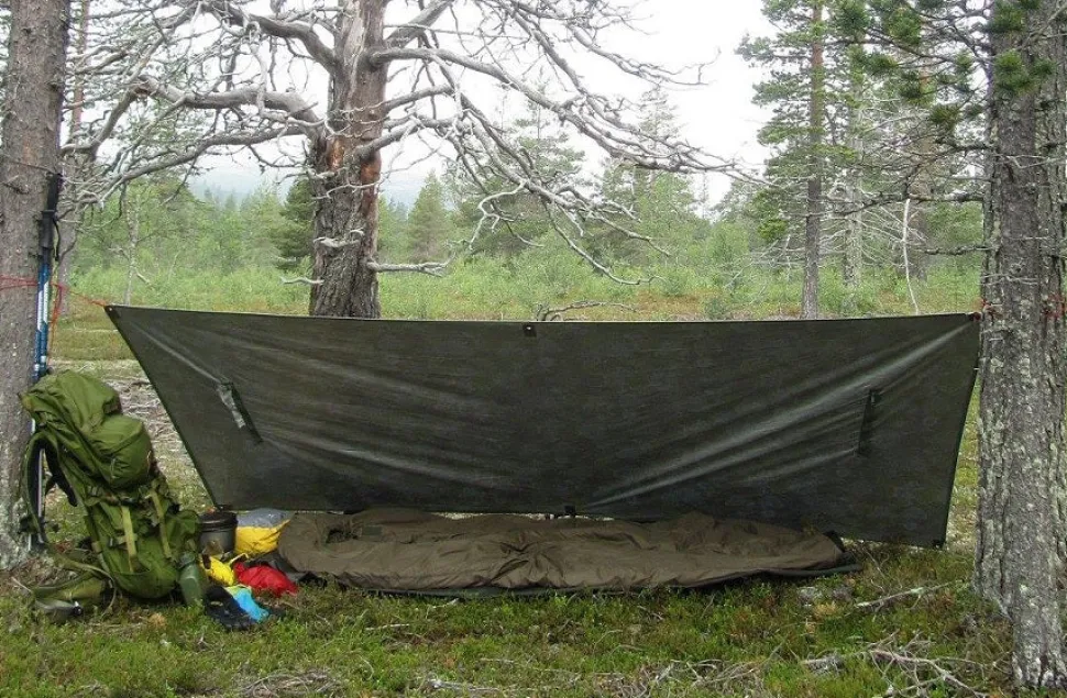 Carinthia Defence 1 makuupussi