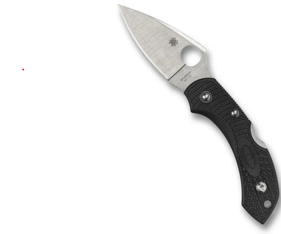 Spyderco Dragonfly 2 Lightweight taittoveitsi