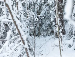 Särmä TST L7 Naamioanorakki