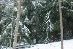 Särmä TST L5 Pakkastakki