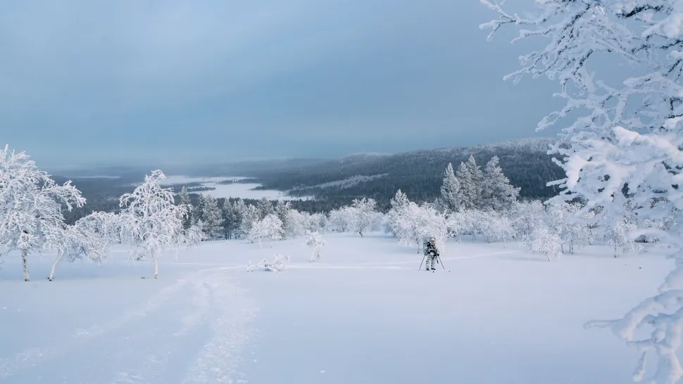 Varusteleka L5 partiohaalari