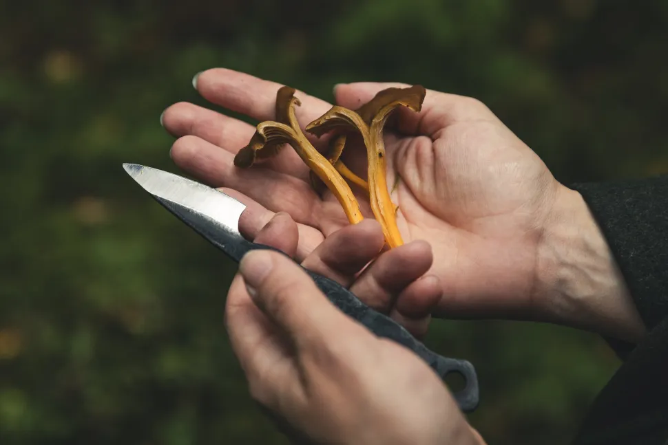 Varusteleka Tiny pikkupuukko, hiiliteräs